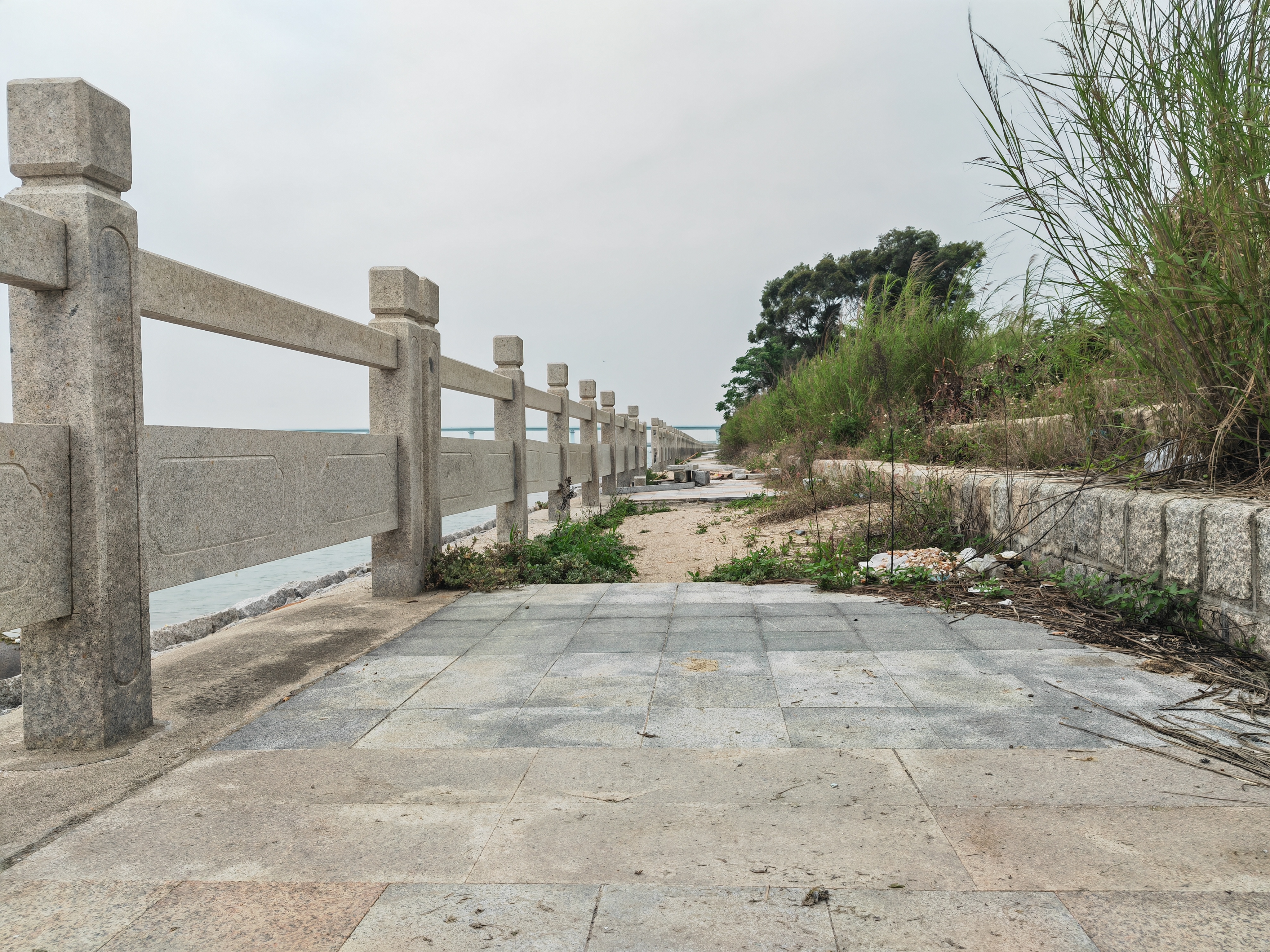 三年后再次探访厦门丙洲岛,发现惊喜变化,路通了,基建搞起来了