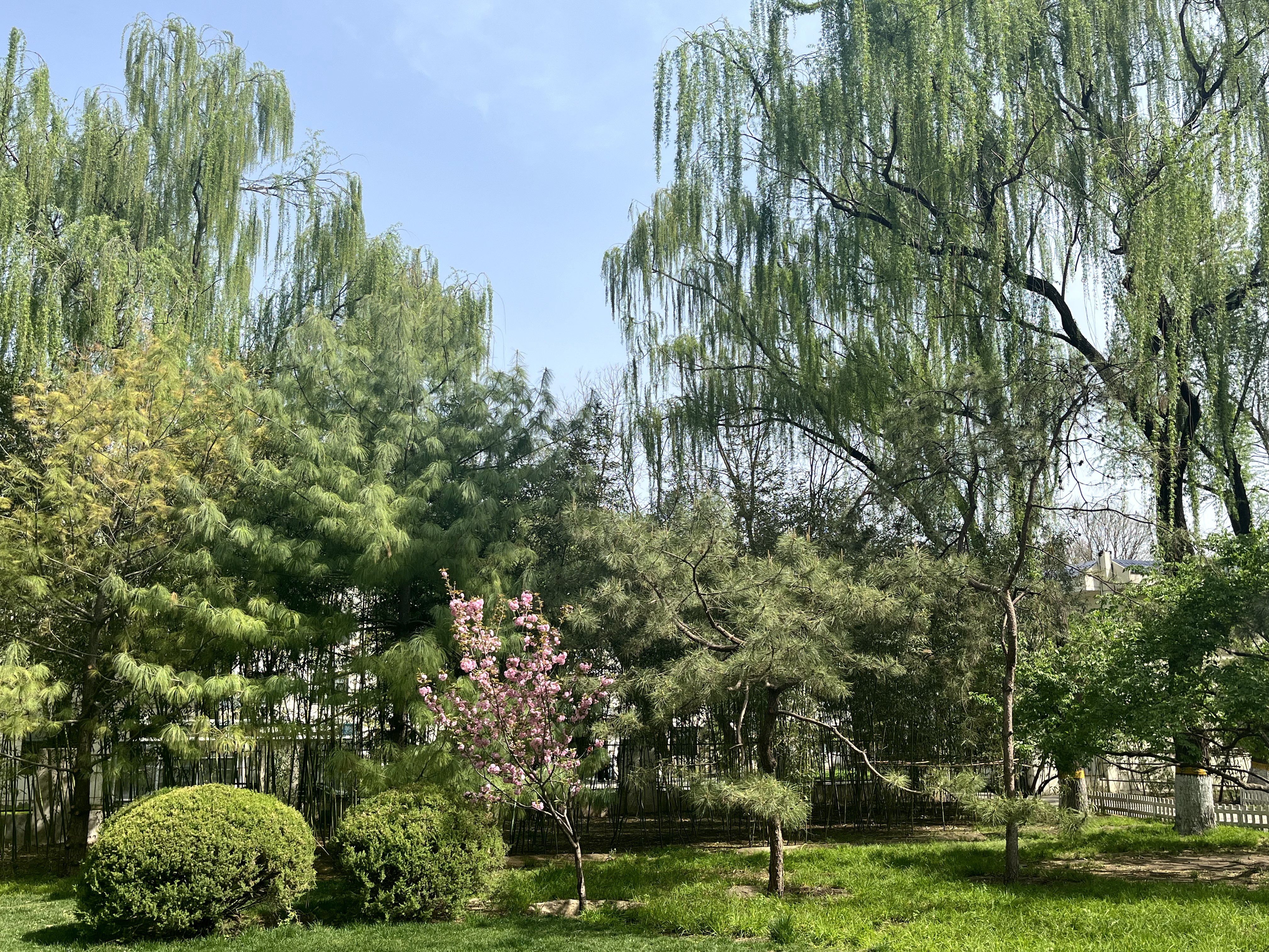 丰台百姓家门口的公园——万芳亭公园