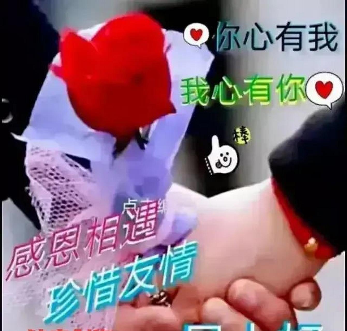 天天开心快乐健康平安最美好!