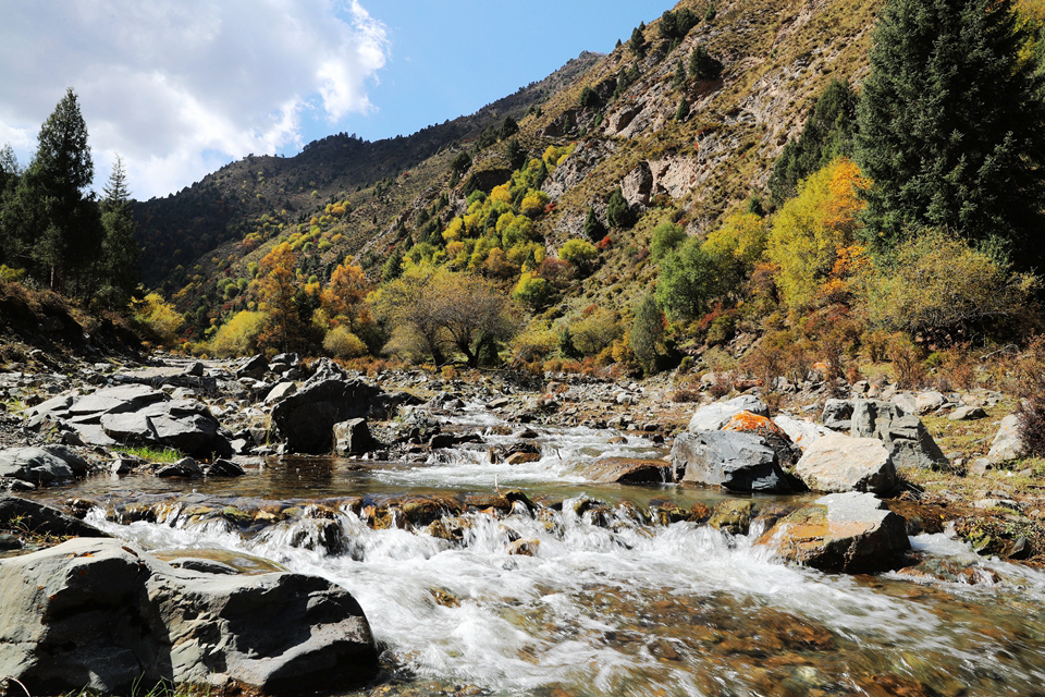 惊艳!祁连山国家公园金秋色渐浓 色彩斑斓如画卷!