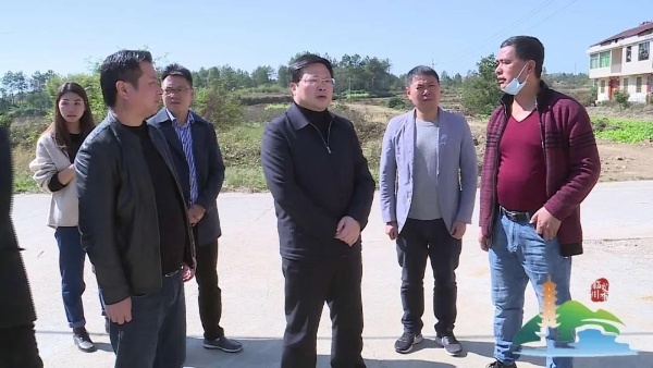 董东明书记深入秋溪镇调研