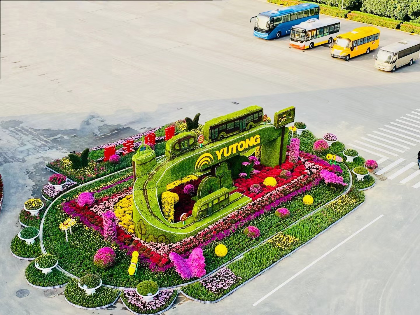 五色草造型金九-五色草造型的实践应用