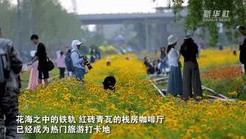 新時(shí)代中國(guó)調(diào)研行之文化中華丨到百年開(kāi)埠地碼頭穿越舊時(shí)光-有駕 新時(shí)代中國(guó)調(diào)研行之文化中華丨到百年開(kāi)埠地碼頭穿越舊時(shí)光-有駕