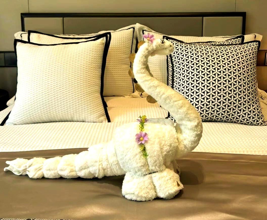 我们常常见到的,是那方方正正,摆放整齐的毛巾