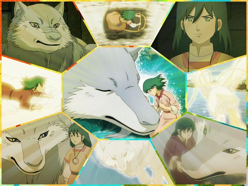 兽之奏者艾琳:16岁少女独创音乐御兽法,改变国家命运,兽医到底是为人服务还是为兽服务?这个问题不简单