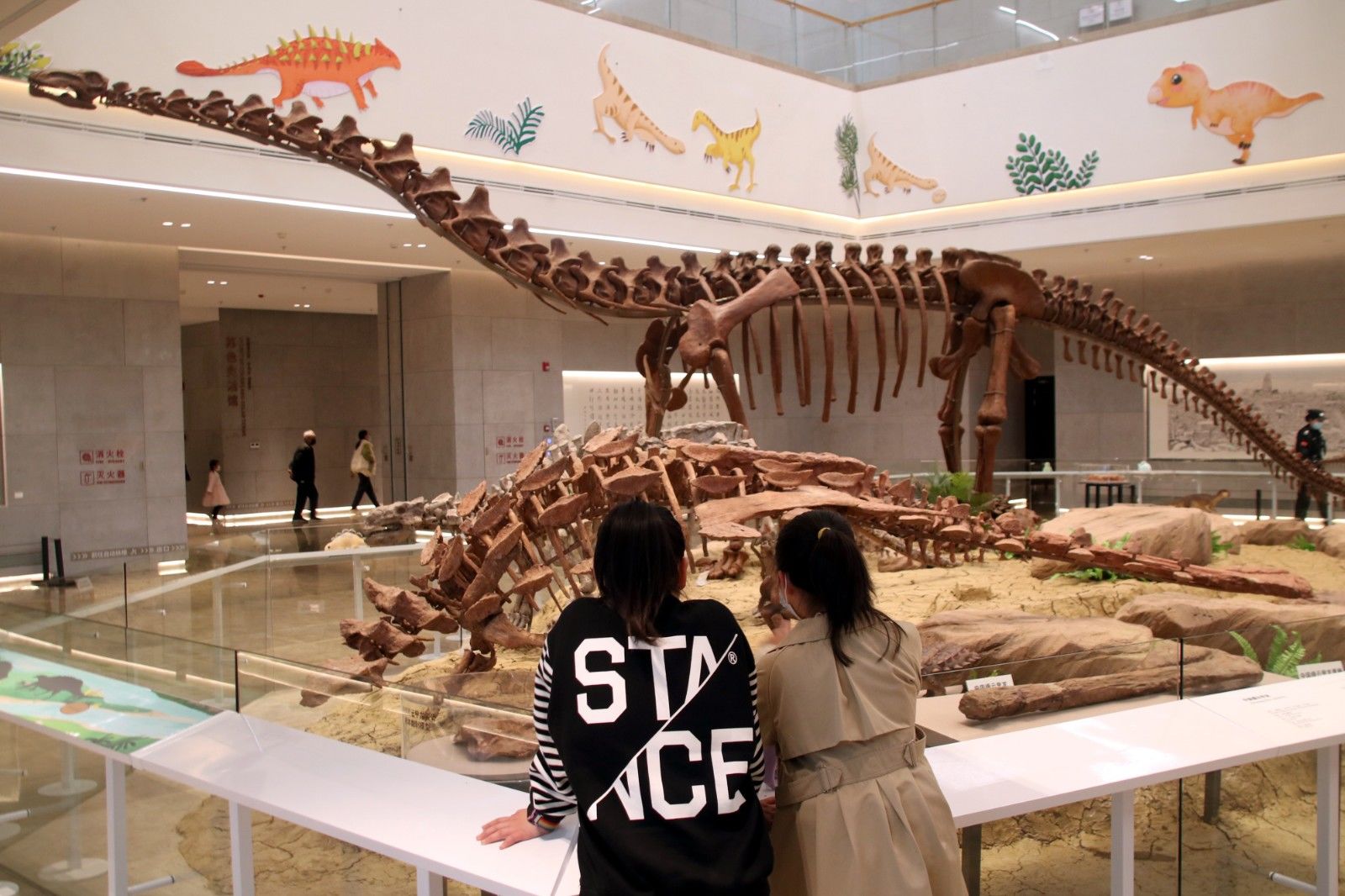 浙江出土恐龙化石展亮相苏州博物馆西馆