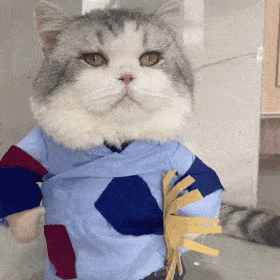 表情包:怎么,想打架?