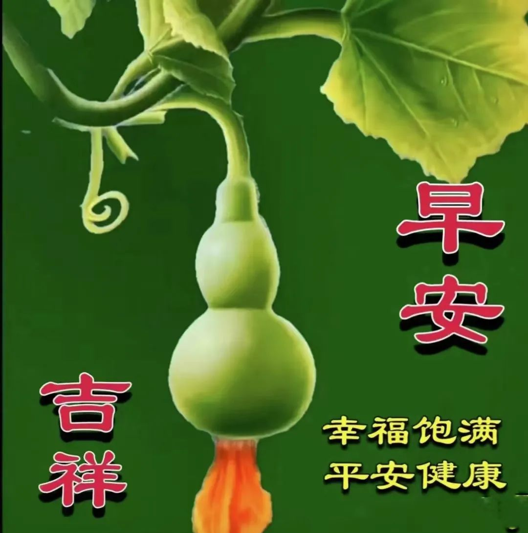 暖心祝福与创意早上好表情包图片集锦