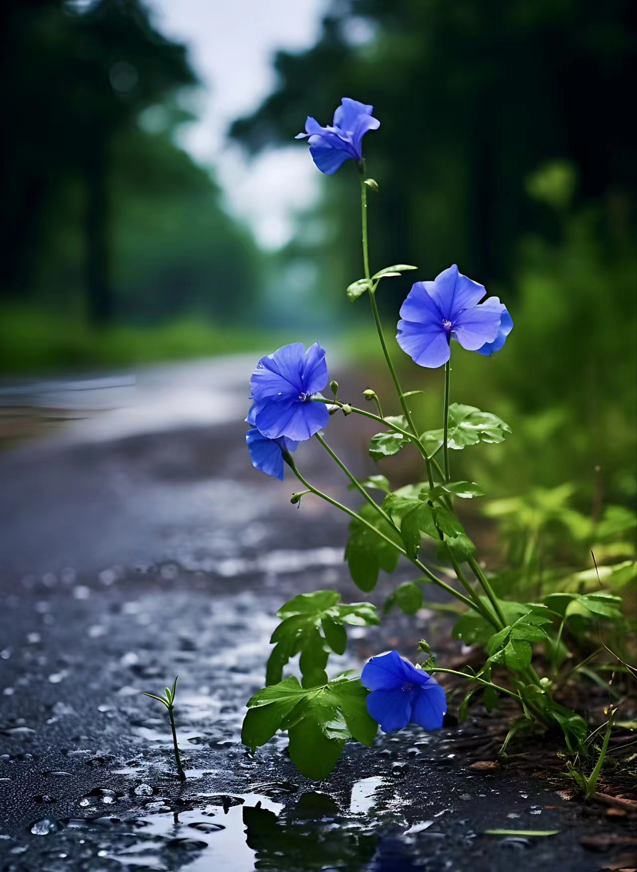 时光的沙漏已经倒空, 留下的只有一地的尘埃和回忆