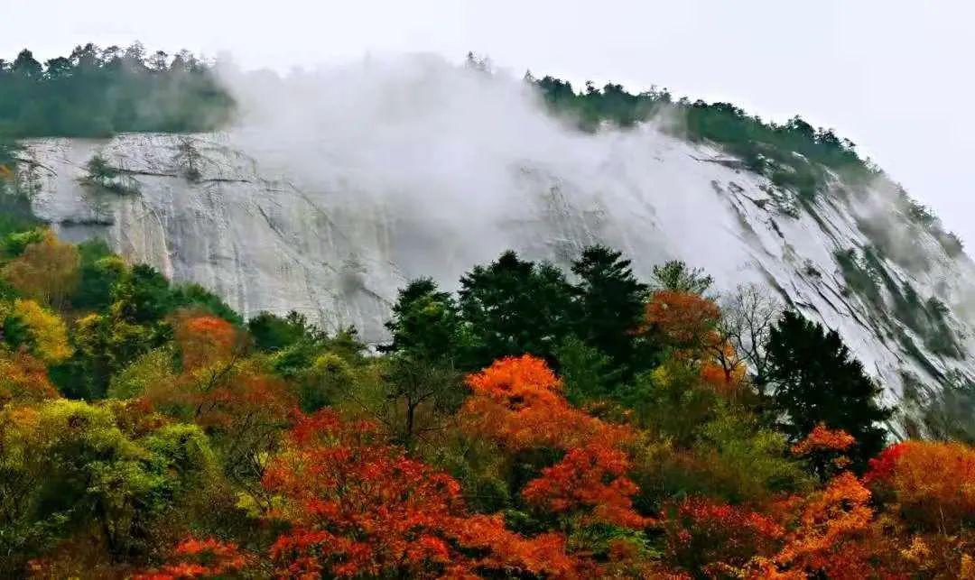 "云游"山水商洛,美景不可辜负!