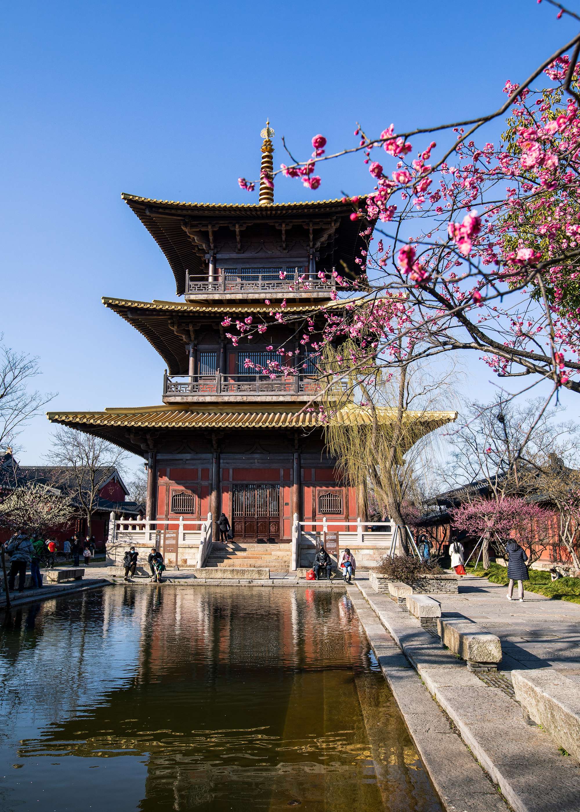 追光逐影:广富林文化遗址公园