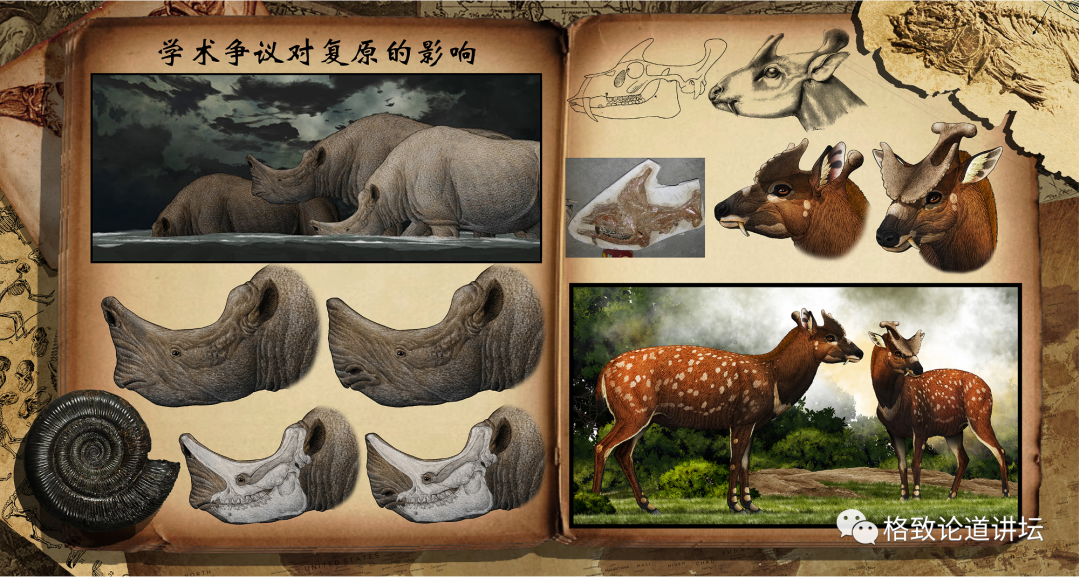 在复原古代大熊猫体色这件事上,我少见地反驳了专家的观点,将它复原成