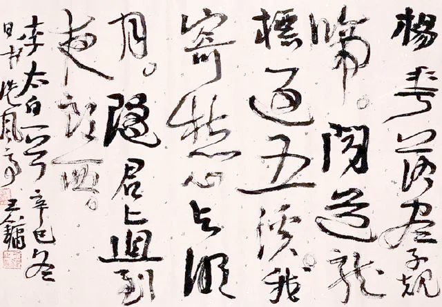 女博士蔡梦霞的书法之路:人美字丑,引发网友热议