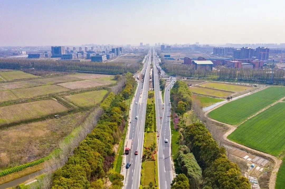 新片区出行更便利!申港大道改建工程今天16时通车