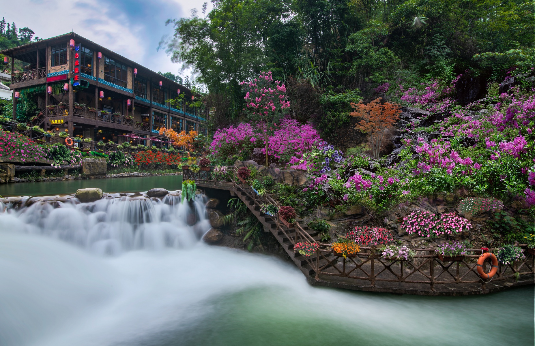 「热辣报」新春去古龙峽打卡十里花溪,水陆空立体赏花新玩法