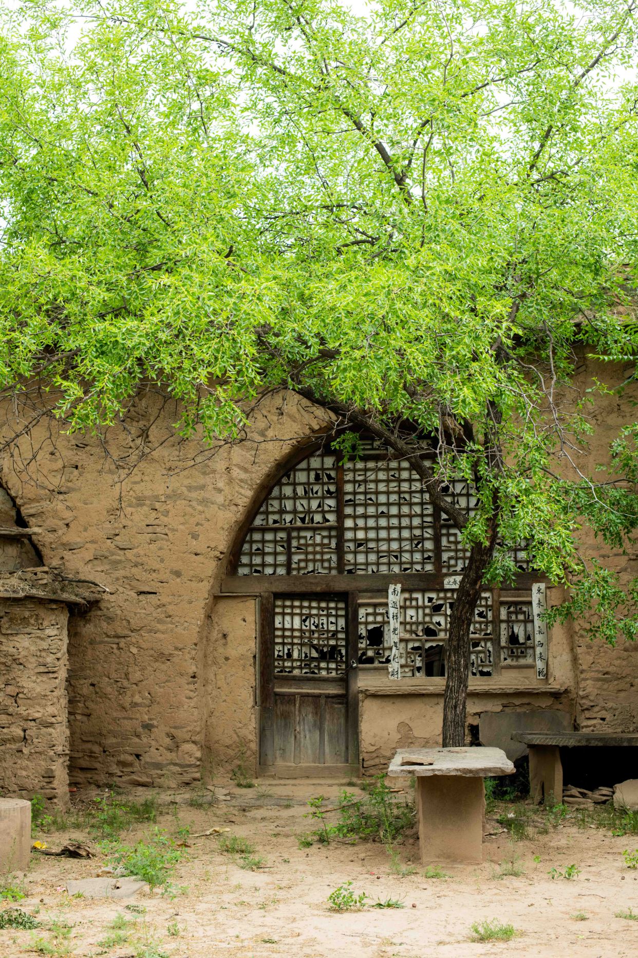 实拍陕西特色窑洞群,多部影剧在此取景,至今保持黄土高坡的风景