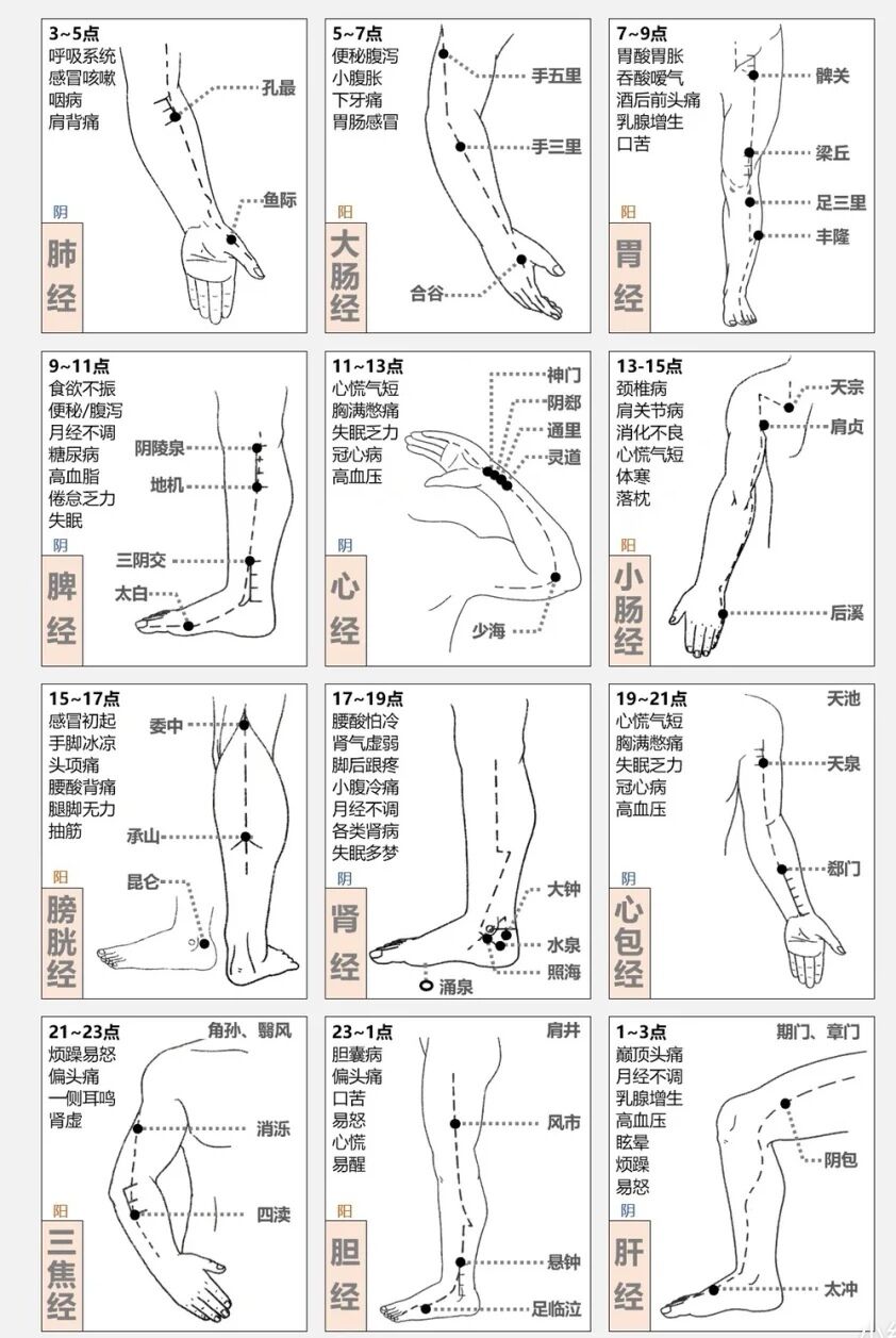 「精华」经穴