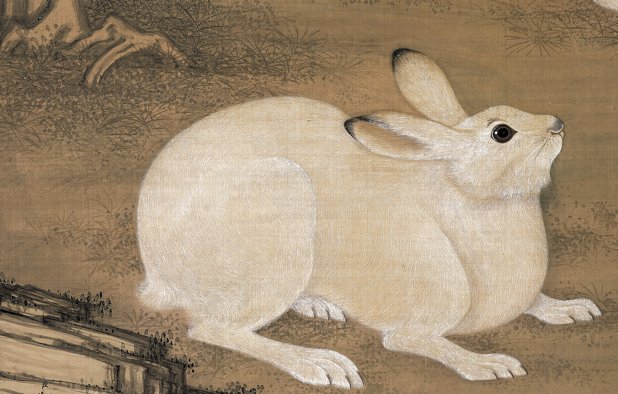 北京故宫博物院藏清代画家冷枚《双兔图》赏读(高清细节)
