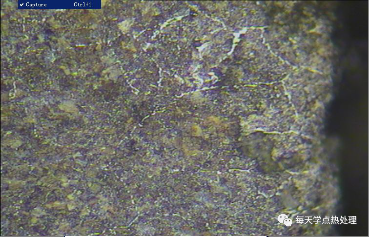 渗碳钢的金相组织形态