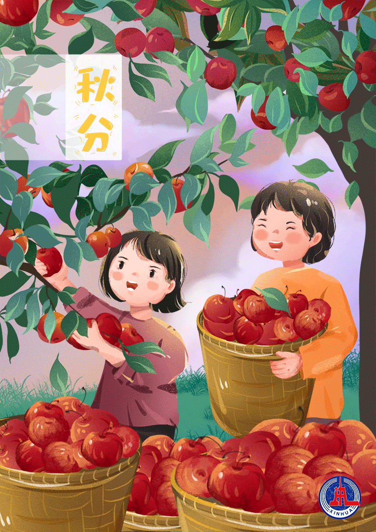 动图插画|桂蕊伴秋色 秋浓画丰收