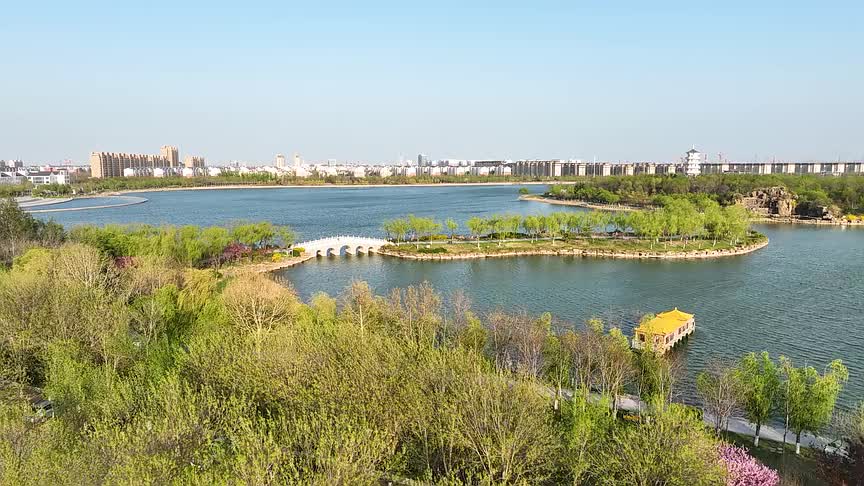 东营市垦利区:春到花开烂漫时