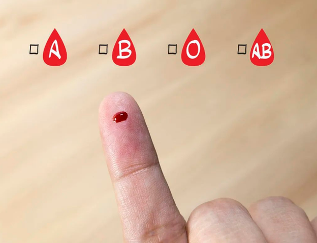 两个b型血图片