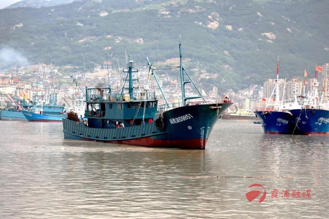 开渔啦宁德霞浦近300艘渔船扬帆起航