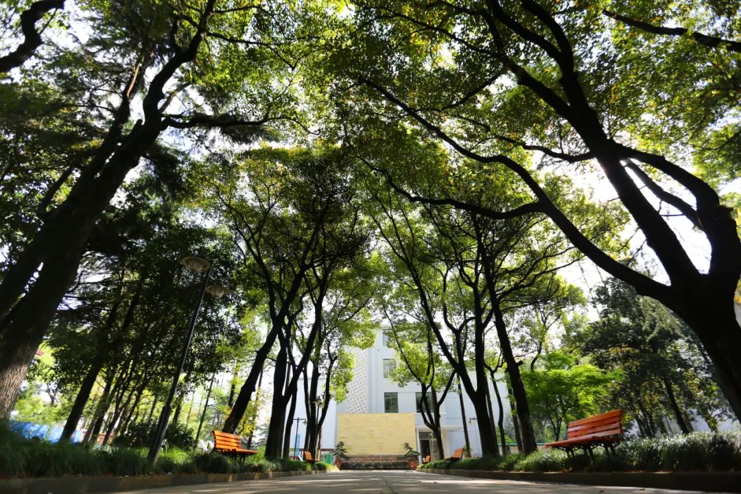 2020年7月,原航华二中(航新路75号)撤销并入七宝二中成为北校区,原