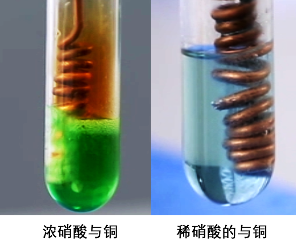 铜与硝酸银反应图片