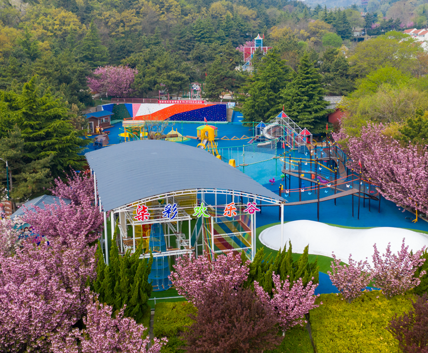 梨花风起正清明威海文旅活动已上线