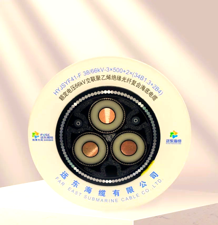 海底光缆:互联网的"中枢神经",断了你就上不了网