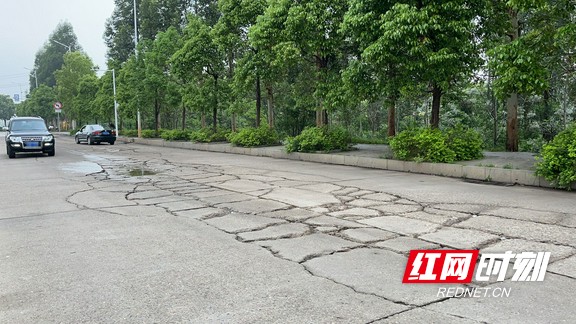 衡阳:滨水西路愉景新城小学至呆鹰岭路段"焕颜"通车