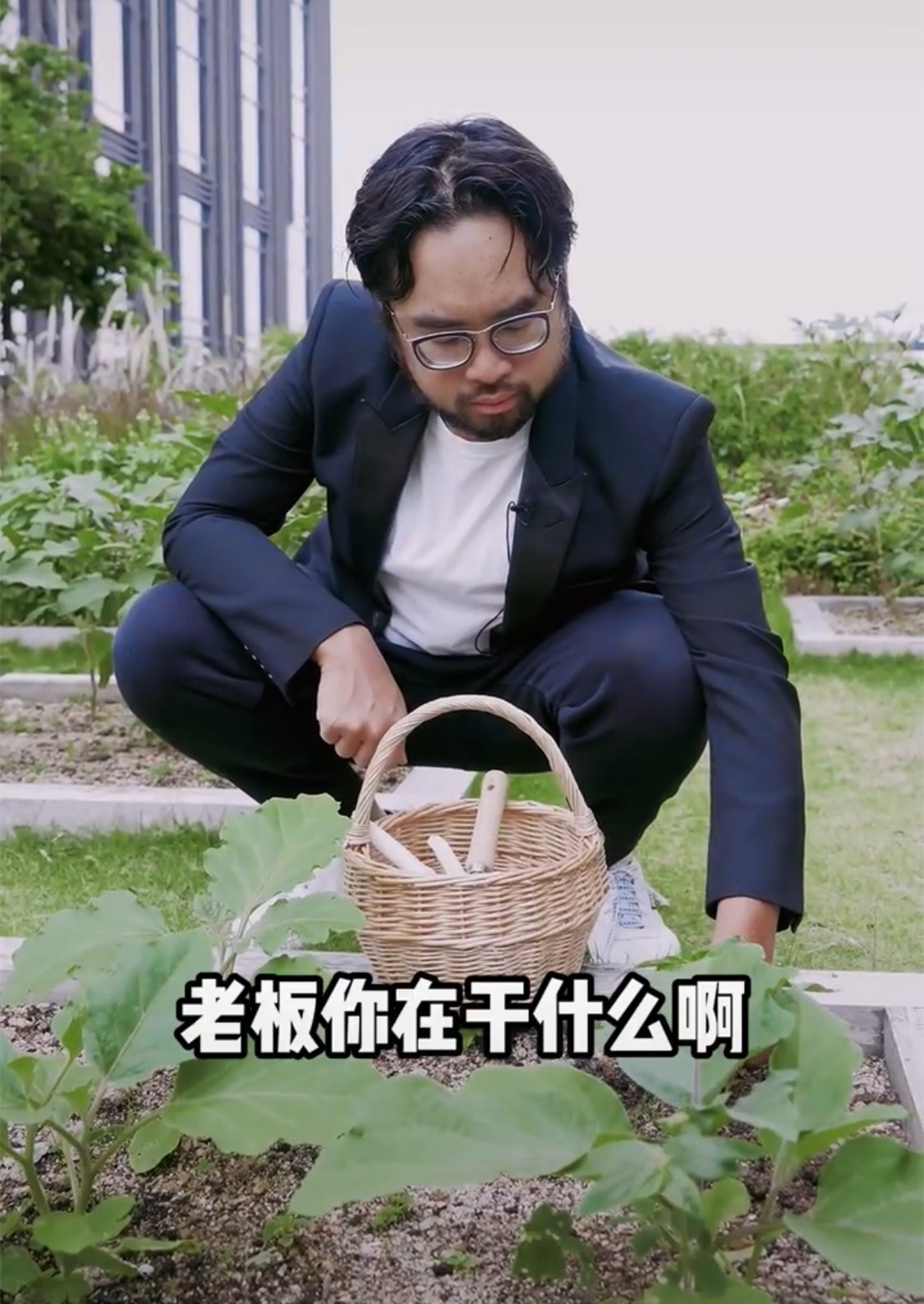 富豪郑志刚的高级凡尔赛!百亿楼盘上种蔬菜,满脸胡须身家百亿