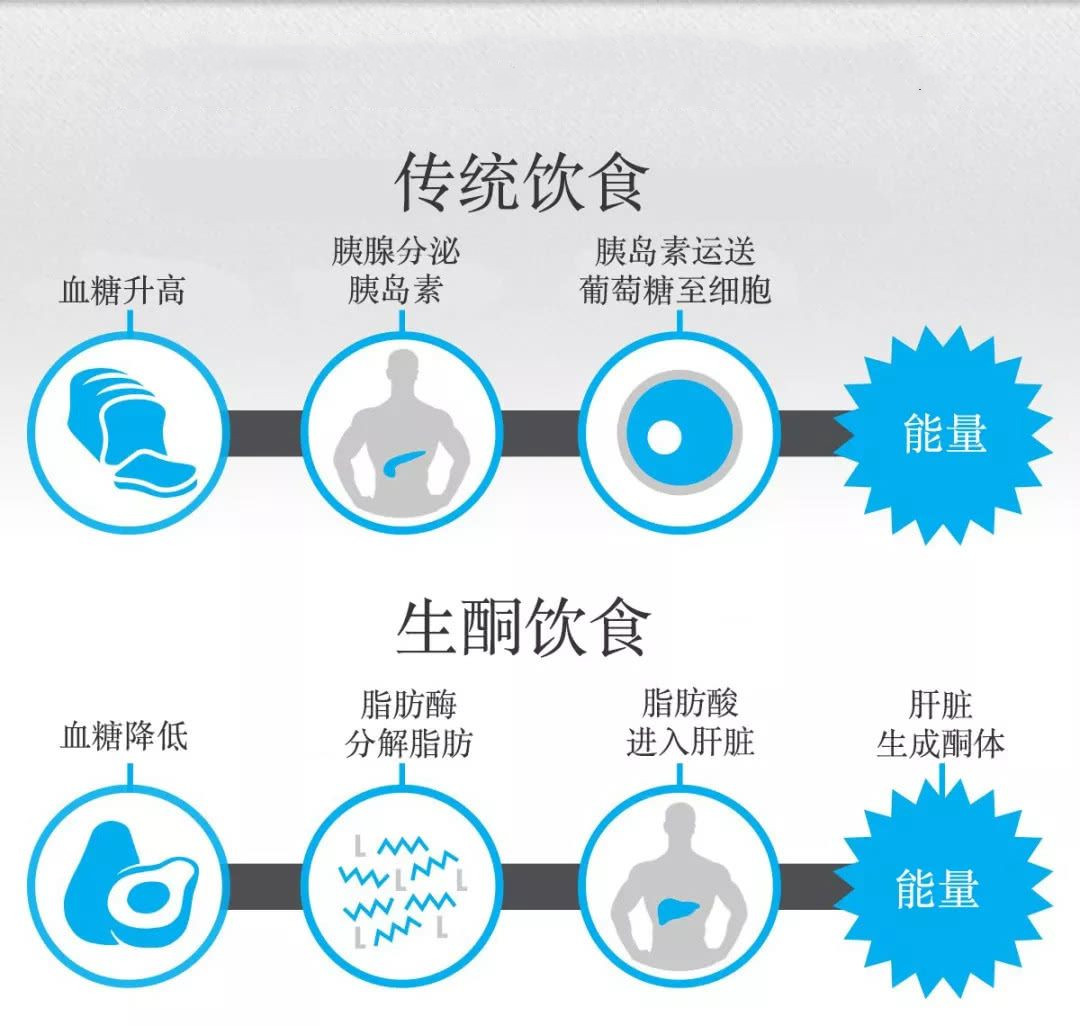 生酮饮食正确吃法,快速生酮吃什么