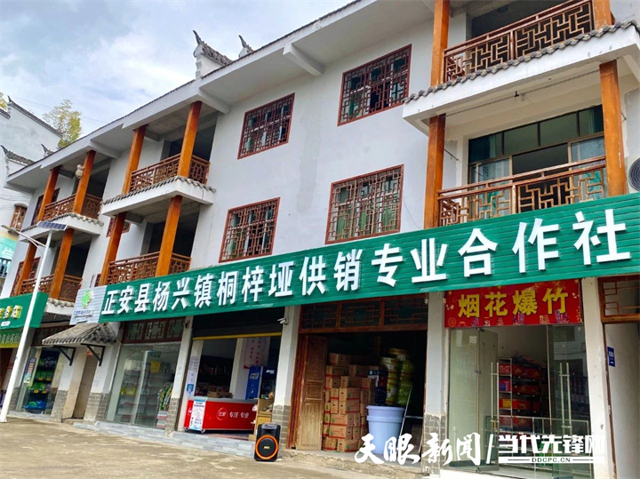 正安县杨兴镇:以"新"唤"兴" 乡村振兴走"新"路