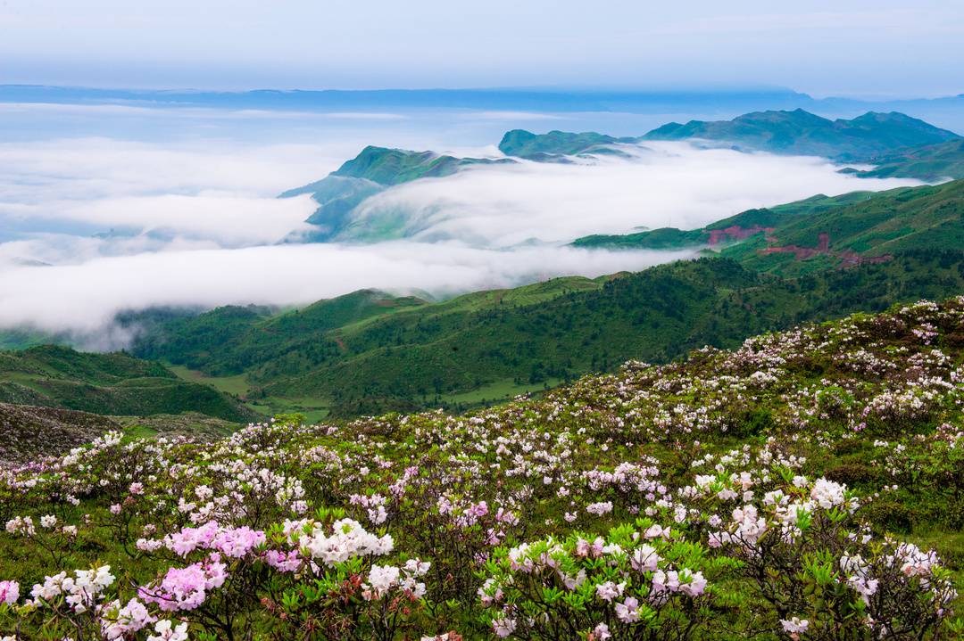 "金沙瑶池"等你来!2023彝族火把节,四川金阳县将举办10大精彩活动