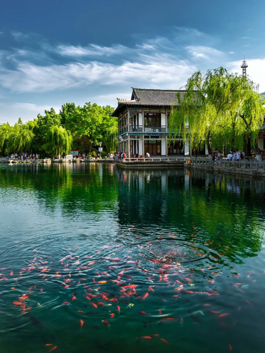 环城泉水绿道,开启济南四大泉群探秘之旅