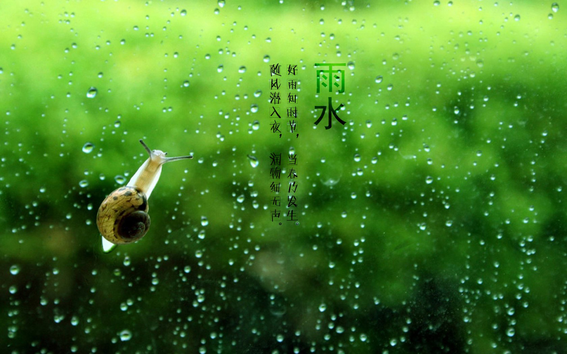 雨水 好雨知时节