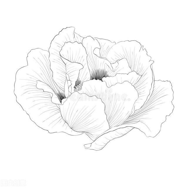 唯美诗·温情款款