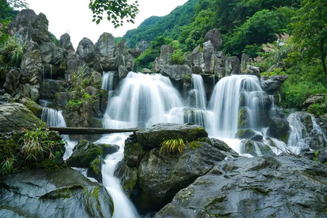 平利芍药谷景区图片图片