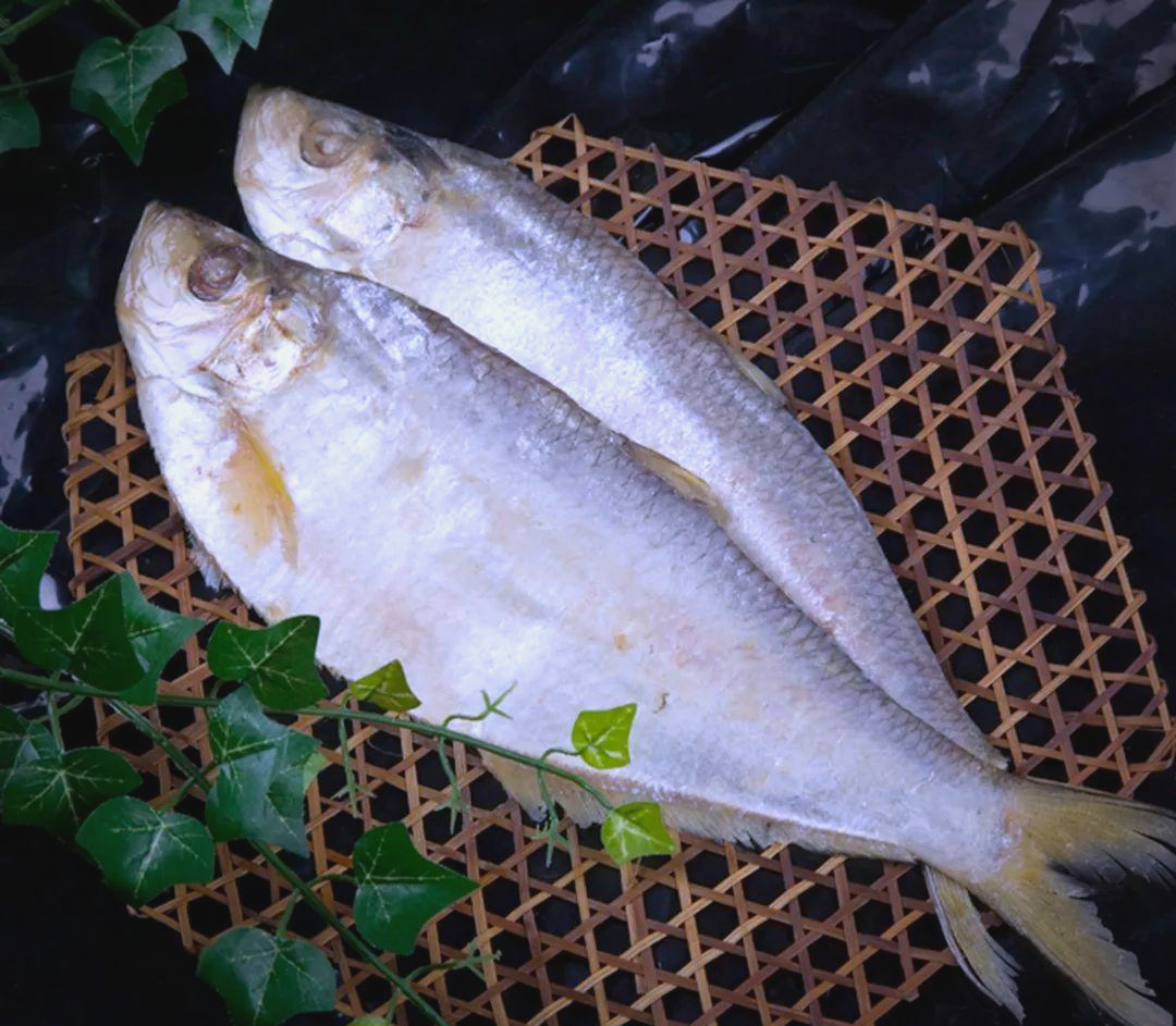 津菜探秘:鲙鱼的春末夏初盛宴