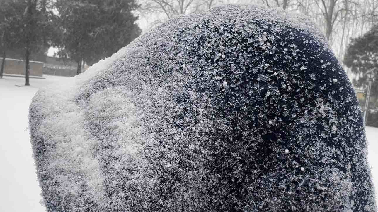 鹅毛大雪表情包图片