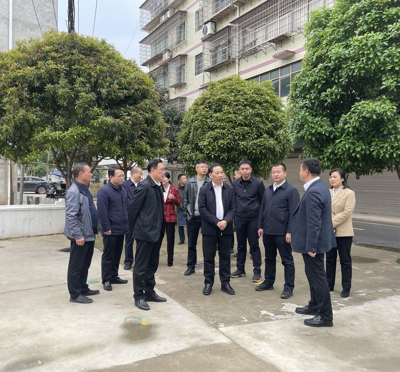 湖南省委组织部副部长,省编办主任陈潇在衡阳市蒸湘区呆鹰岭镇调研