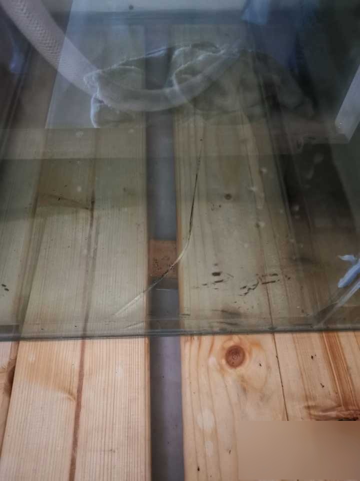 鱼缸底部裂了,用玻璃胶好使吗?