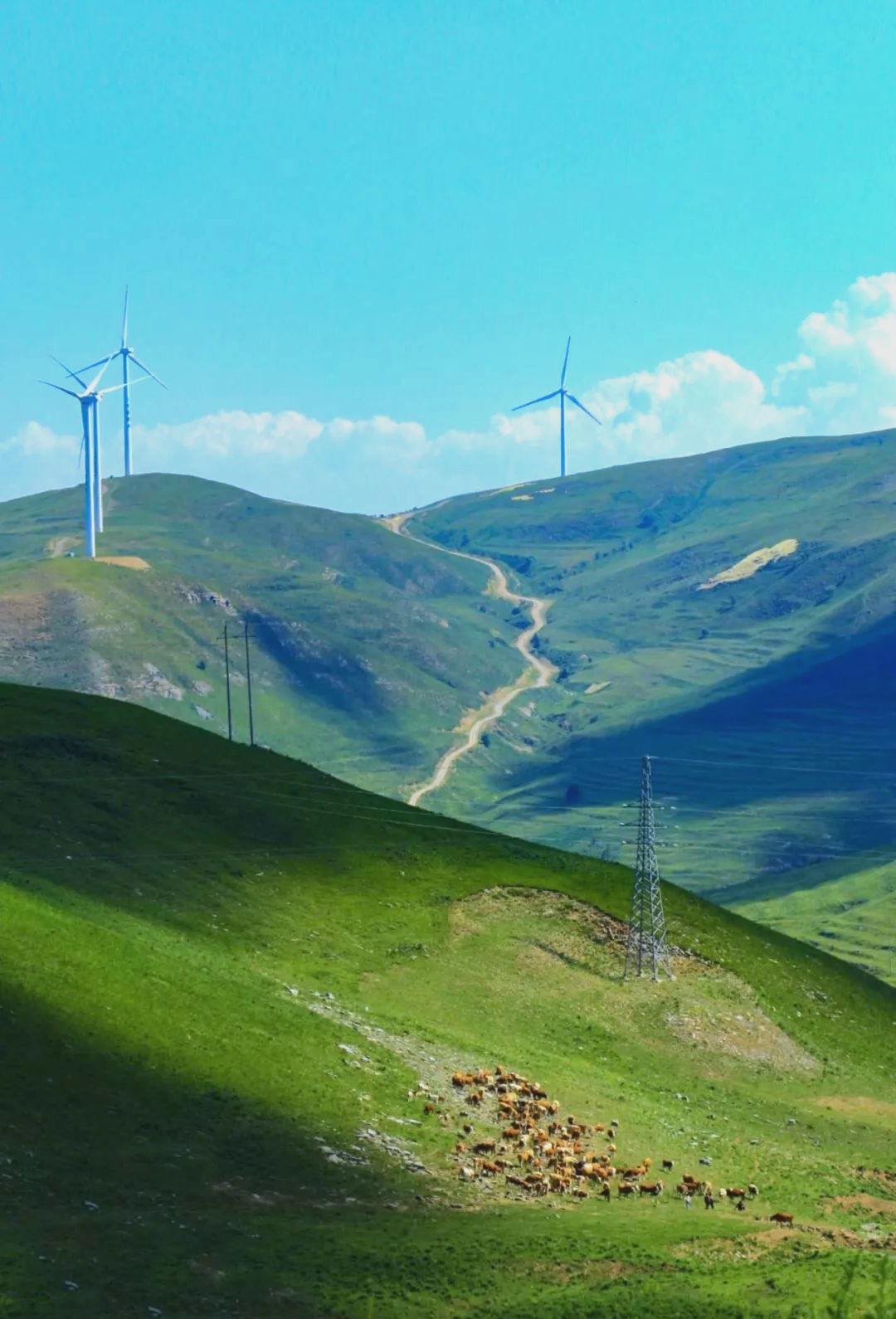 沁源花坡:体验草原风光,感受自然魅力