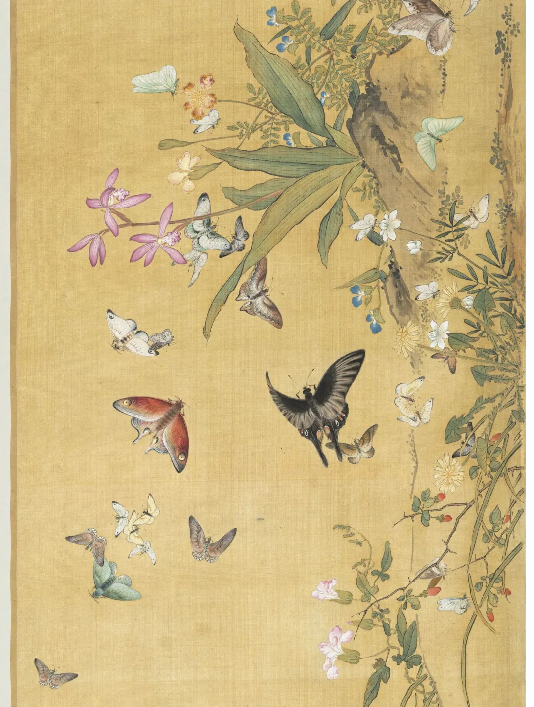 余省《百蝶图》探秘:众多蝴蝶在花丛中飞舞的场景