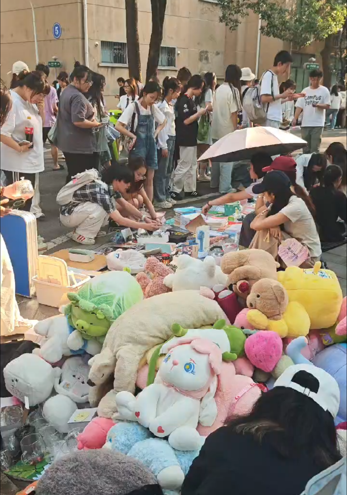 微信图片_20250529175046