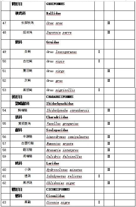 新疆野生动物保护名录图片