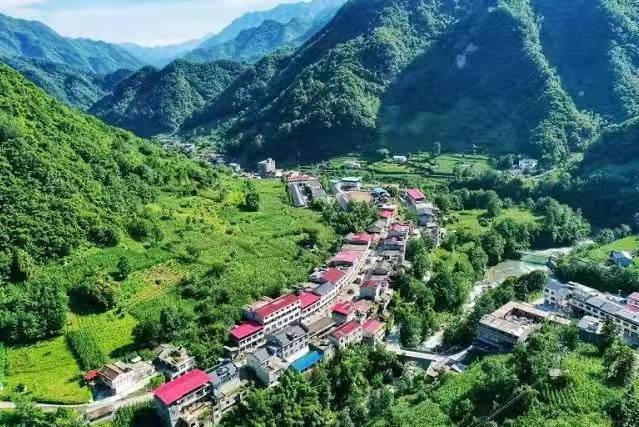 「走进乡村看小康」陕西平利县正阳镇:绿色赋能百业兴