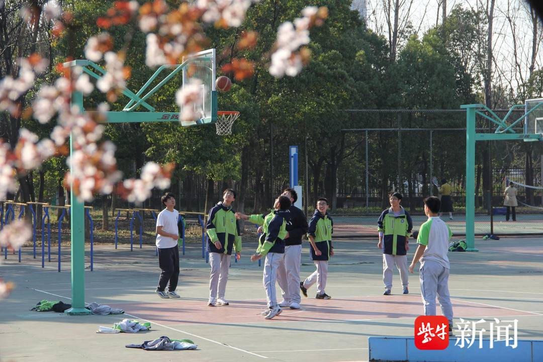 南师附中扬子中学图片